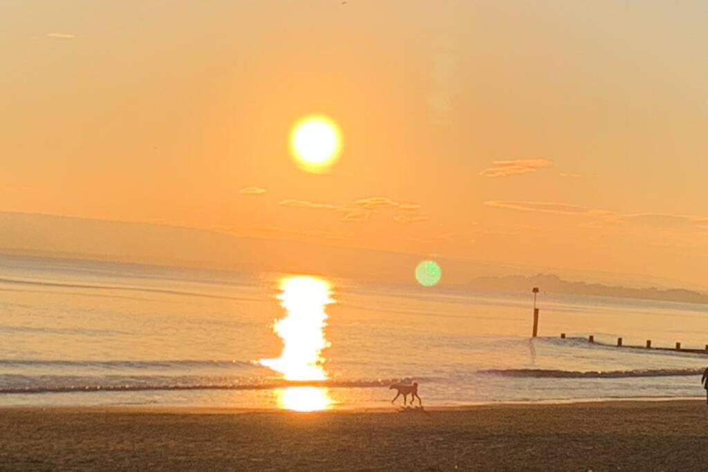 Bournemouth Nr Town Beach Train Coach Shops Lovely Entire Apartment Allows Quiet Good Dogs Exterior foto
