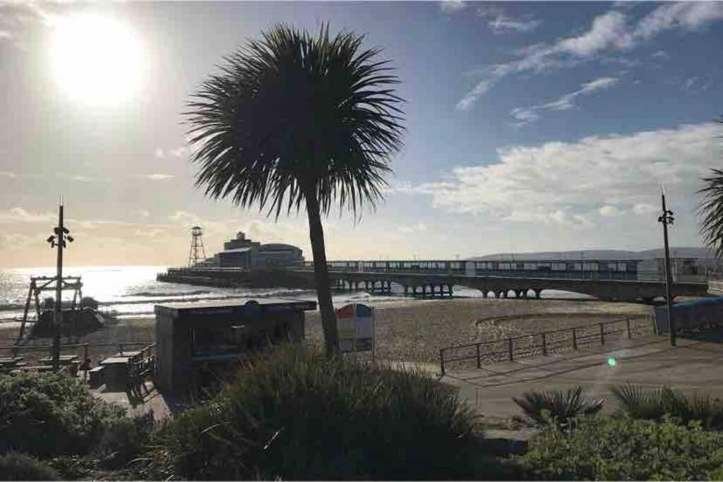 Bournemouth Nr Town Beach Train Coach Shops Lovely Entire Apartment Allows Quiet Good Dogs Exterior foto