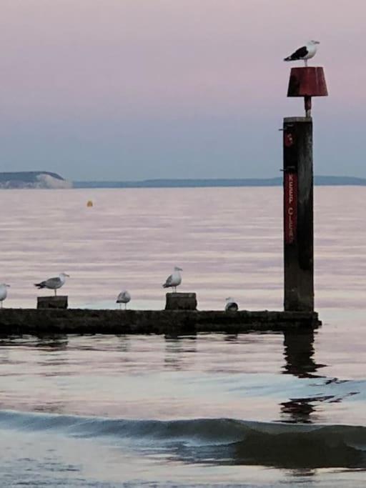 Bournemouth Nr Town Beach Train Coach Shops Lovely Entire Apartment Allows Quiet Good Dogs Exterior foto